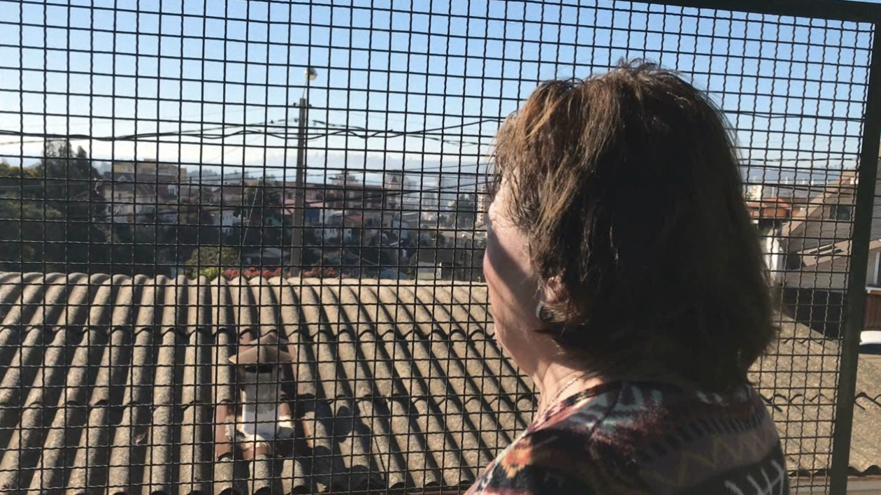 “Desde mi ventana”: estudiantes documentan la vida en pandemia